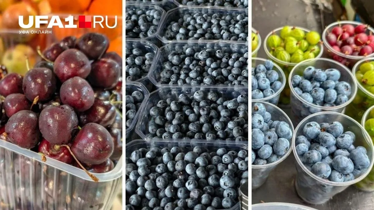 Где в Уфе купить вкусные ягоды?

Мы отправились на поиски самых классных ягод в Уфе! Синяя, зелёная,