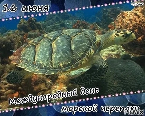 16 июня -День морской черепахи!