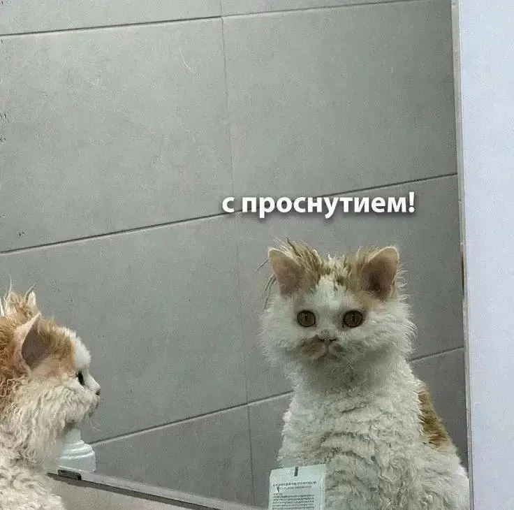 Недосып всего на час может привести к набору веса — показало исследование. 

Он усиливает воспаление