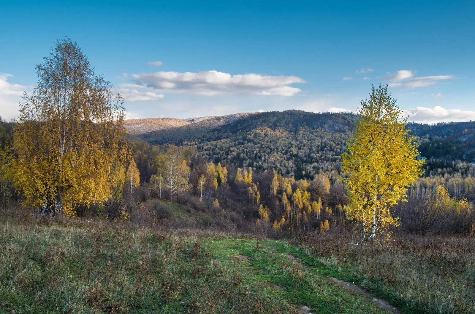 Присылайте Ваши фото в "Предложить пост"
