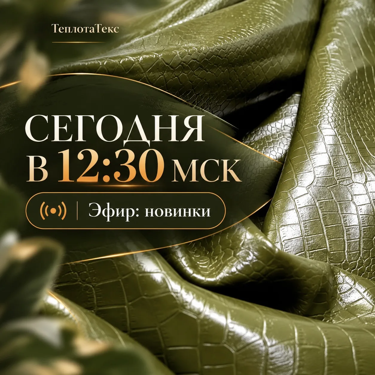 Приглашаем на прямой эфир с новинками ✨