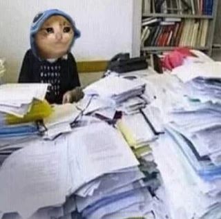 😳 Историю сделают устным пропуском на ГИА