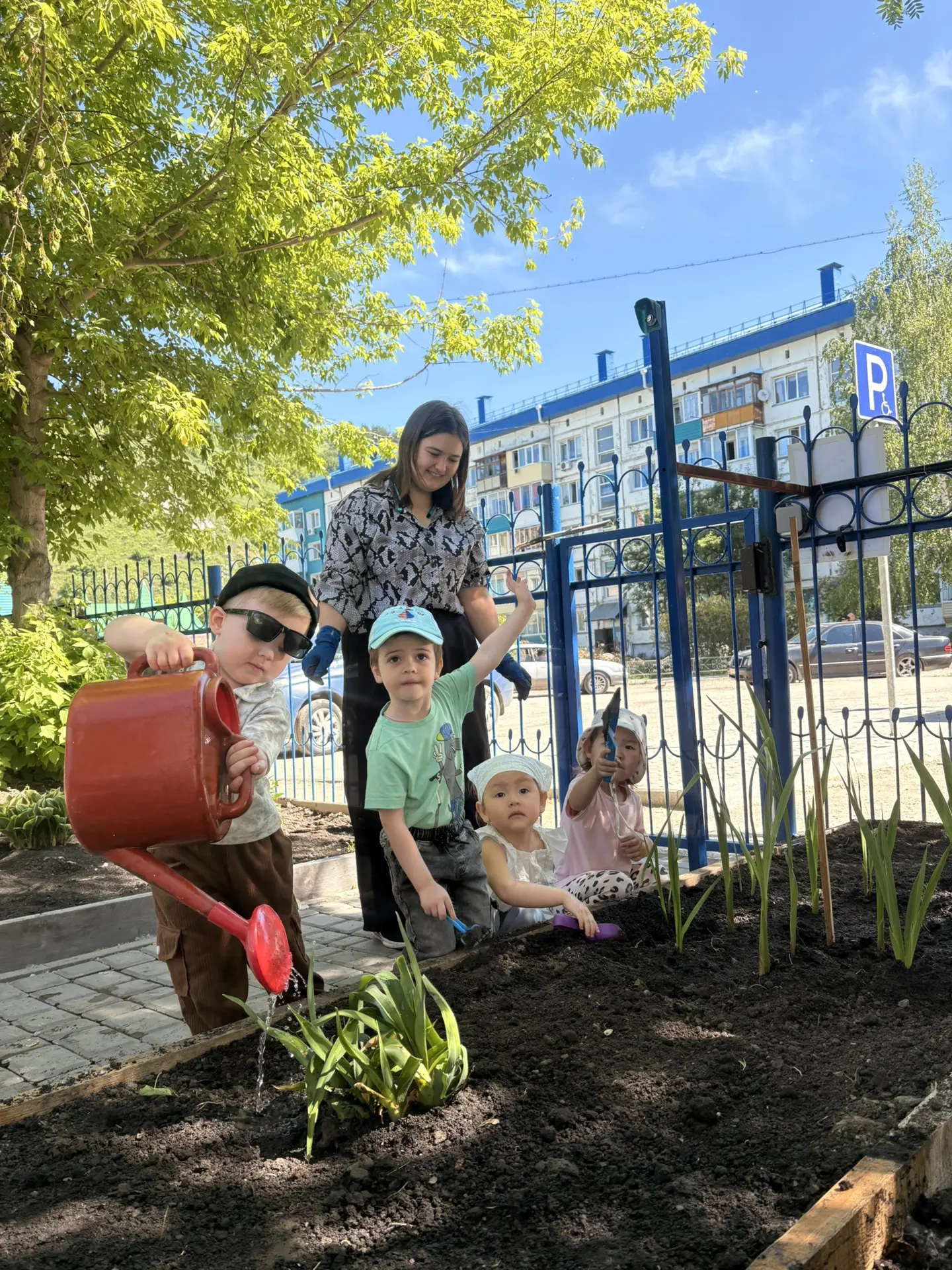 Посадили мы  цветник 🌸🌼🌺