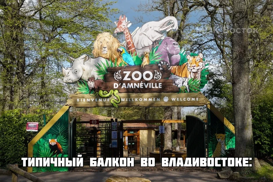 🦚 Во Владивостоке с балкона сбежали три павлина