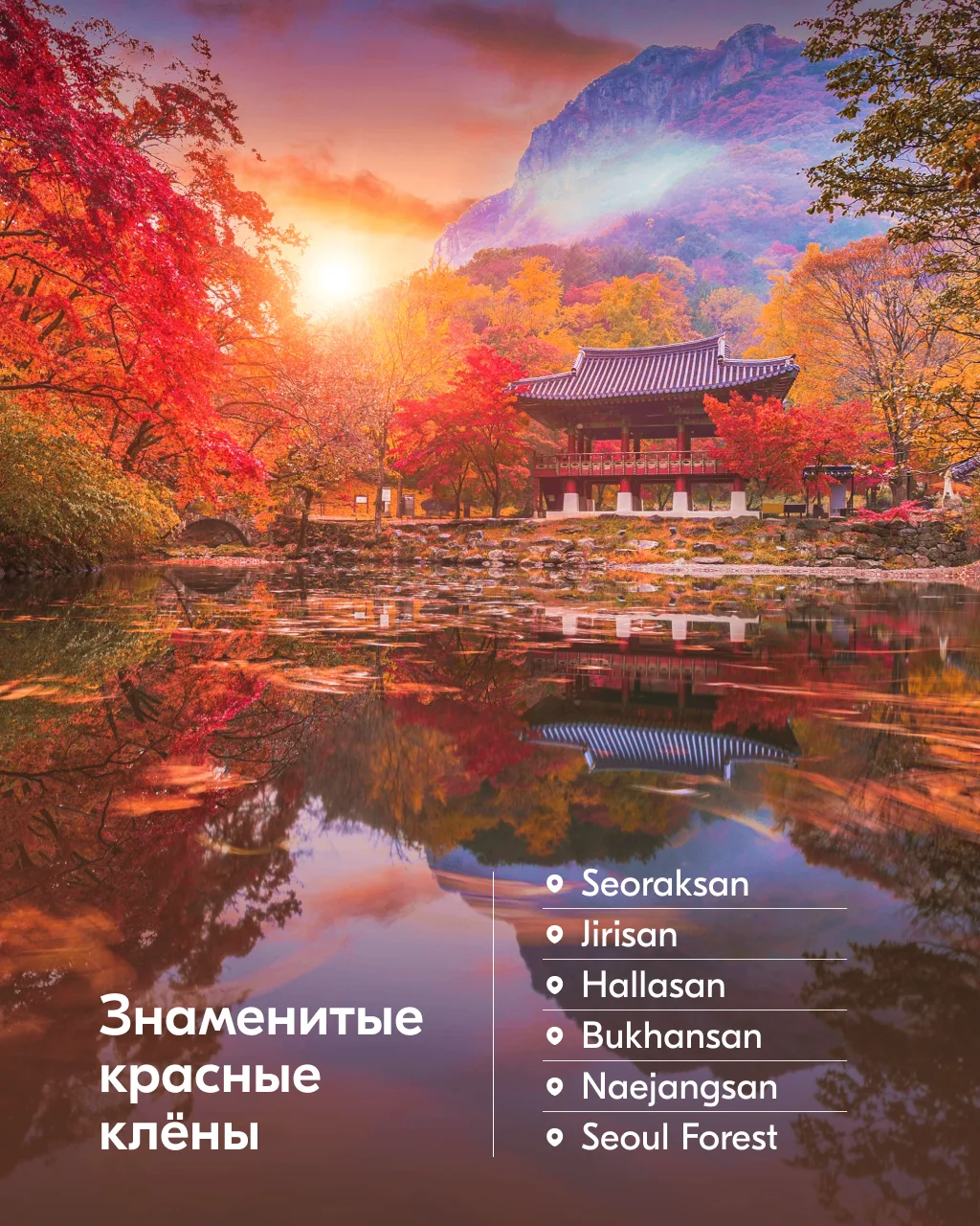 Изображение 2 к публикации «Ozon Travel»