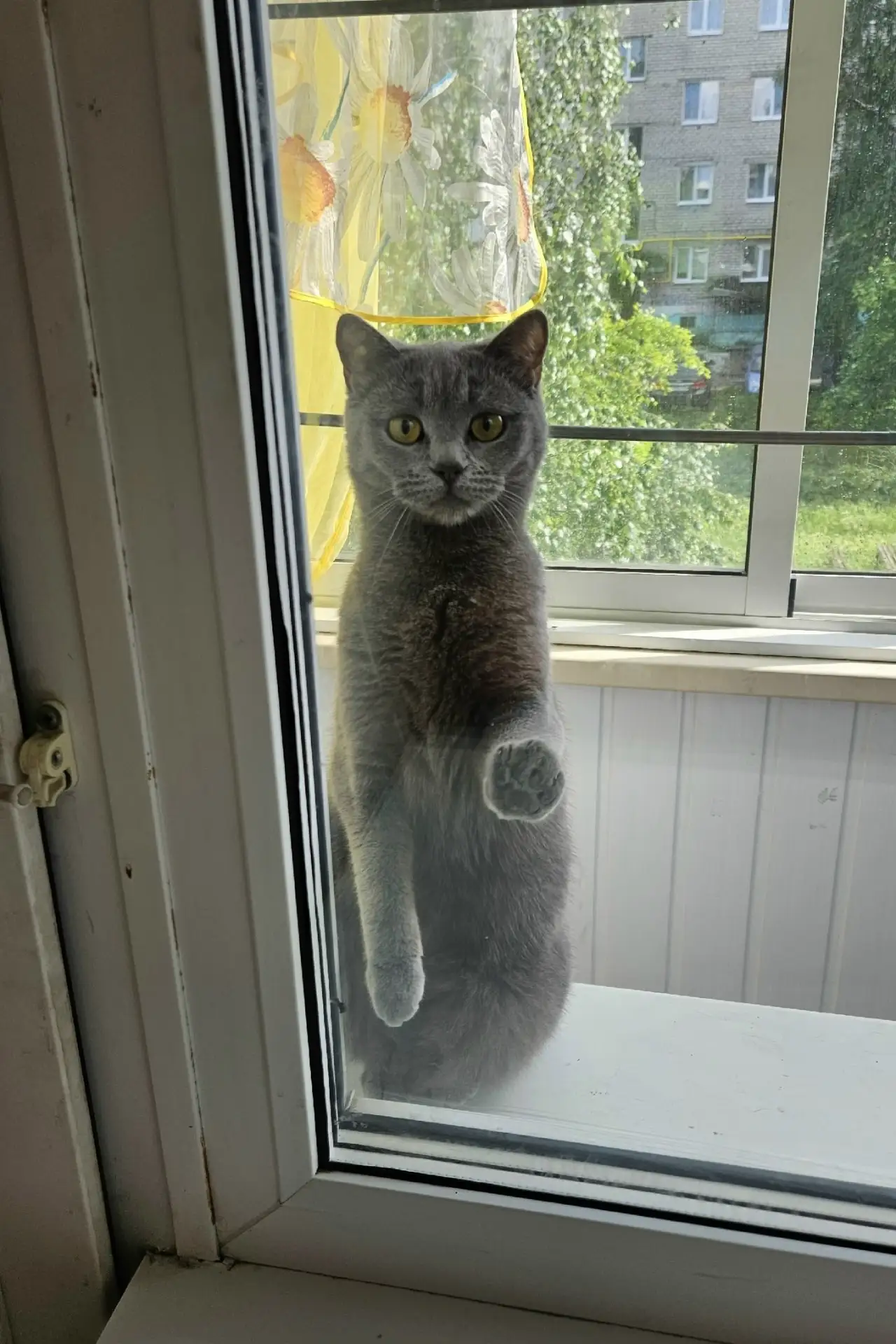 ❕В районе 1-4 домов 8 микрорайона потерялась кошка по кличке Муся 🐈

Видевших или нашедших просьба 