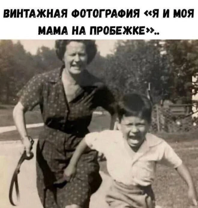 Подписывайтесь на Саваничи