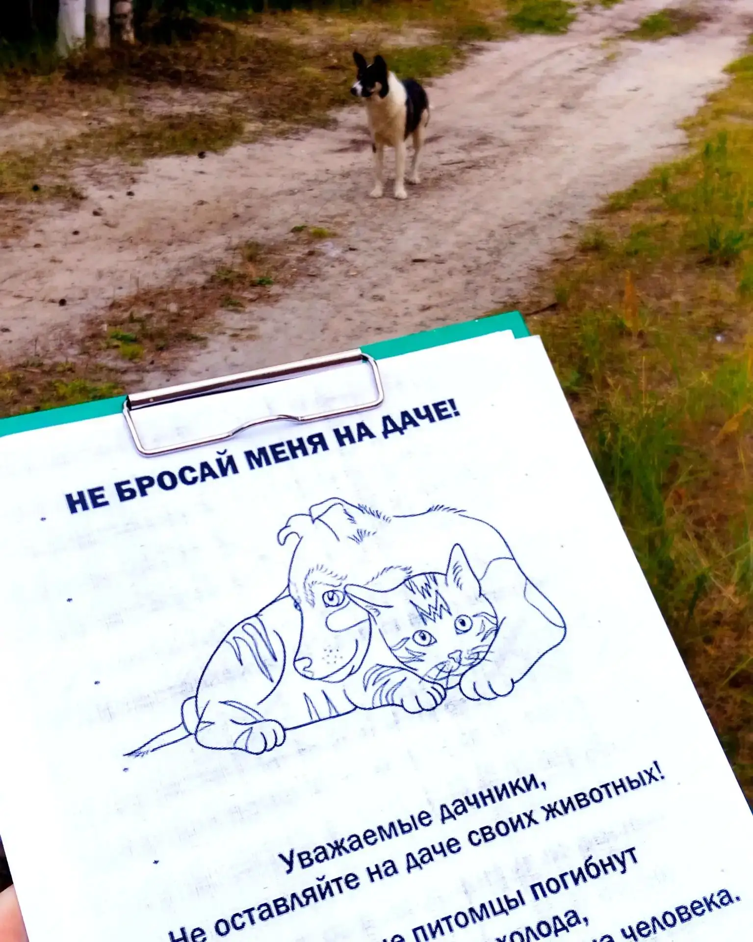 Зоозащитная акция «Не бросай меня на даче» продолжается🔥