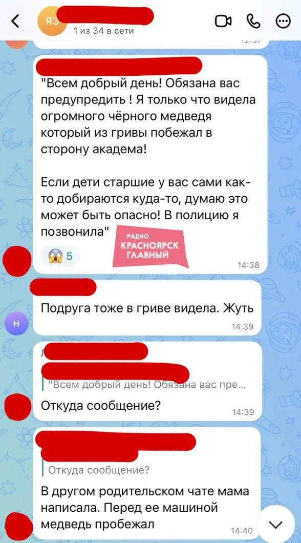 ⚡️Красноярцы сообщают о медведе в черте города.