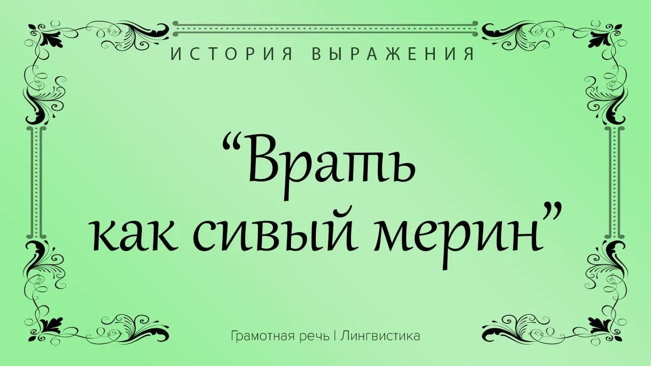 Выражение «Врёт как сивый мерин» имеет интересные корни, связанные с лошадями. Мерин — ...
