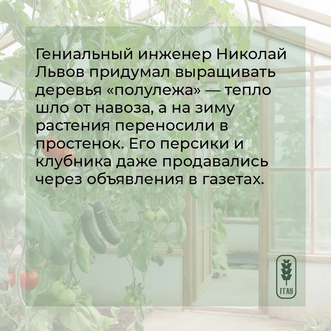 😉 Для одних понедельник – день тяжелый, а мы его сделаем – полезным и интересным. И расскажем о… пол