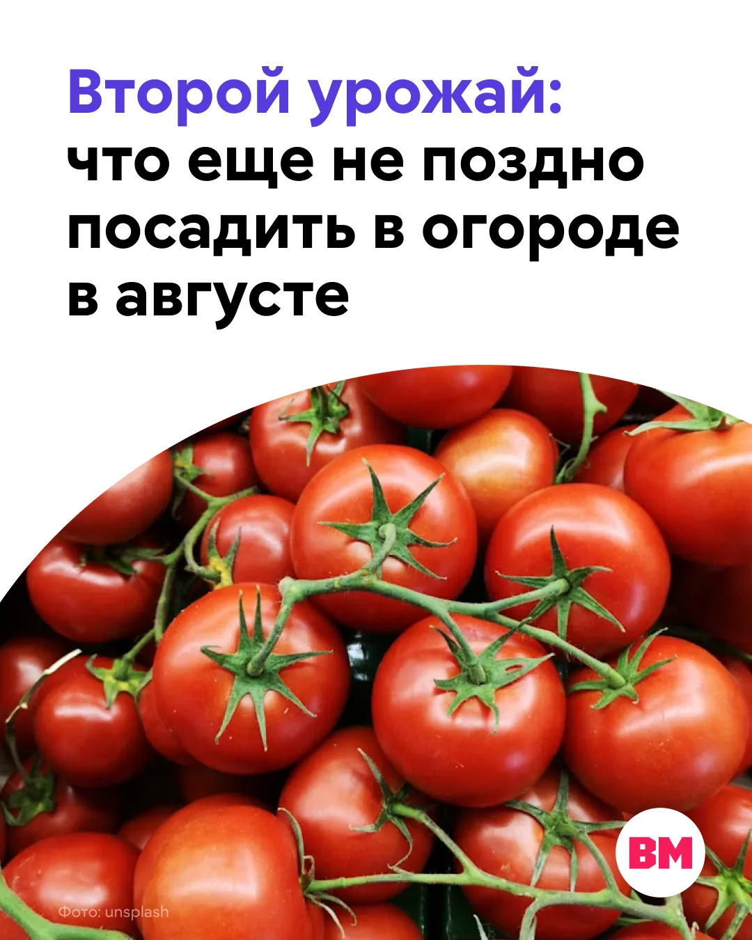 🥬 Август — это не только время активного сбора овощей и фруктов, но и отличная возможн...