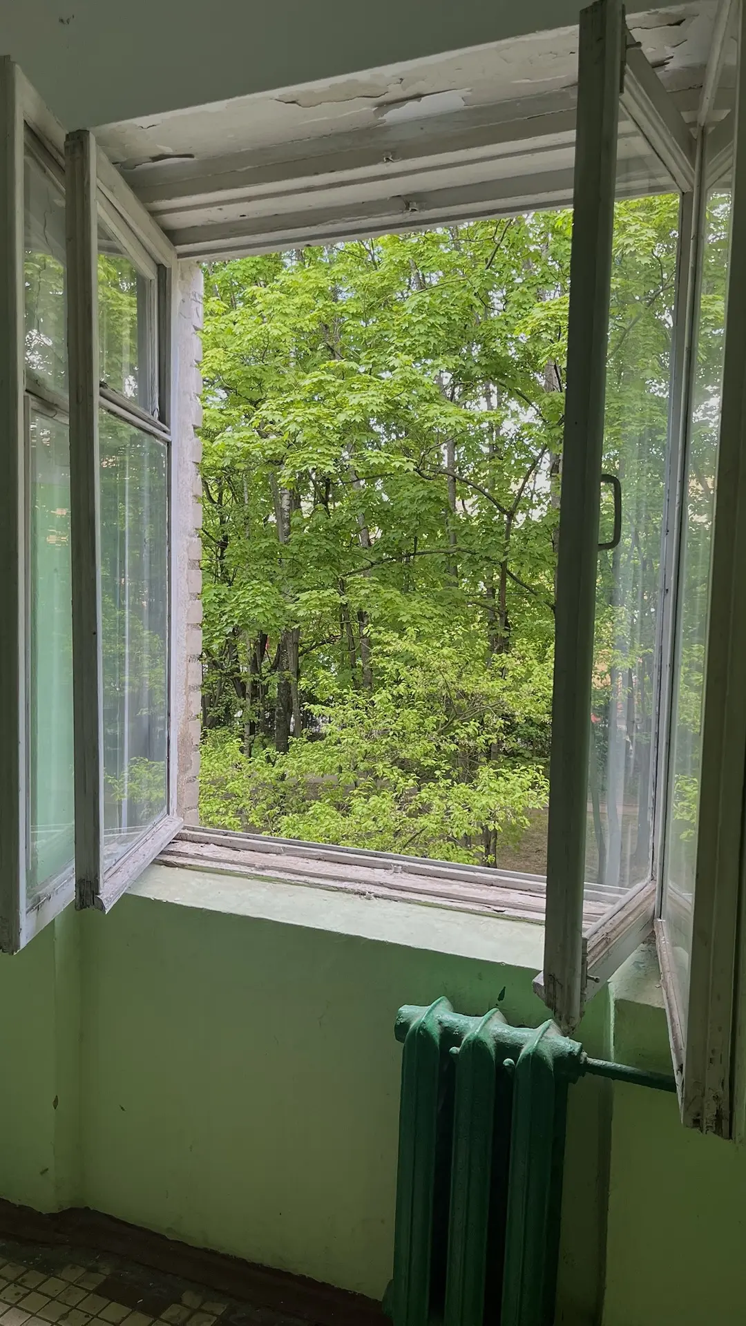 ✨Моя жизнь в моментах ✨
