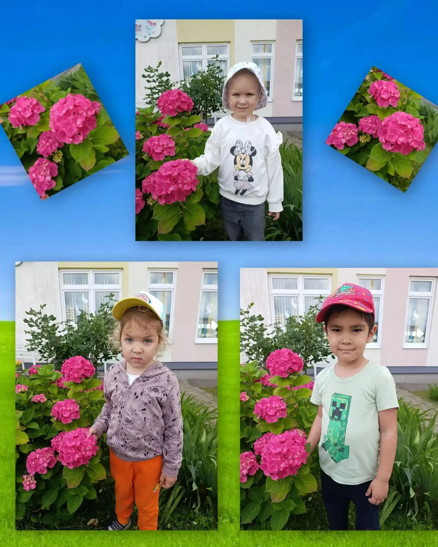 Наблюдение за гортензией в разновозрастной группе "Ягодка" 🍓
Гортензия цветет,🌸
Ее соцветия шарами