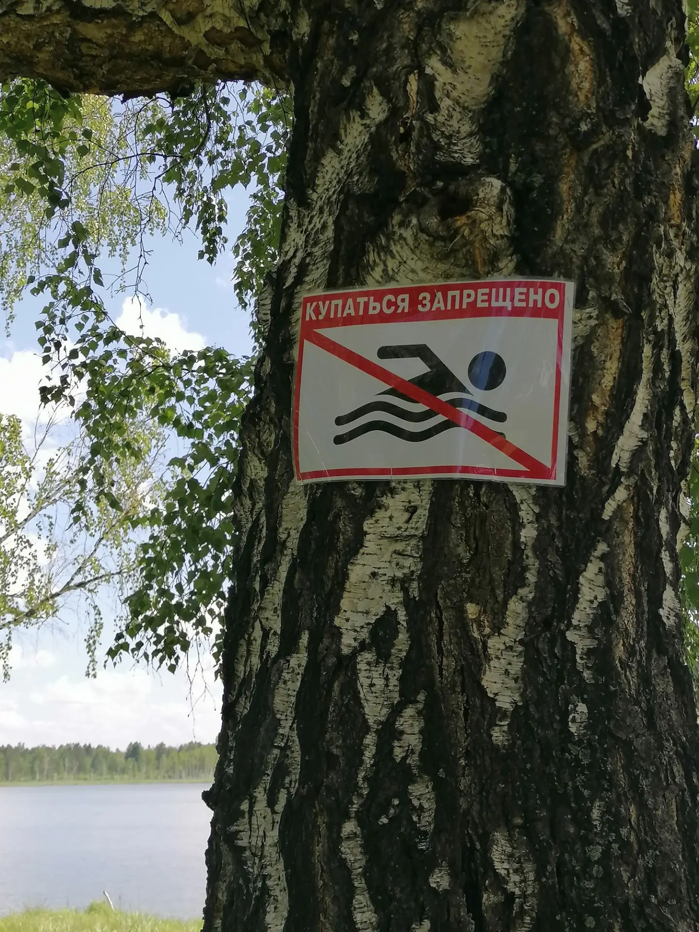 Летний отдых на воде — это не только удовольствие, но и определённая ответственность. Ч...