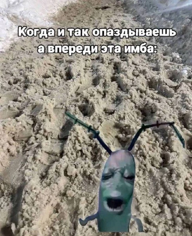 🌷🌷🌷🌷🌷🌷 🌷🌷🌷🌷🌷🌷🌷