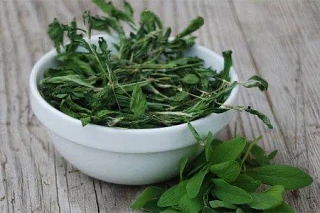 🌿Спорыш для мочевыводящих путей