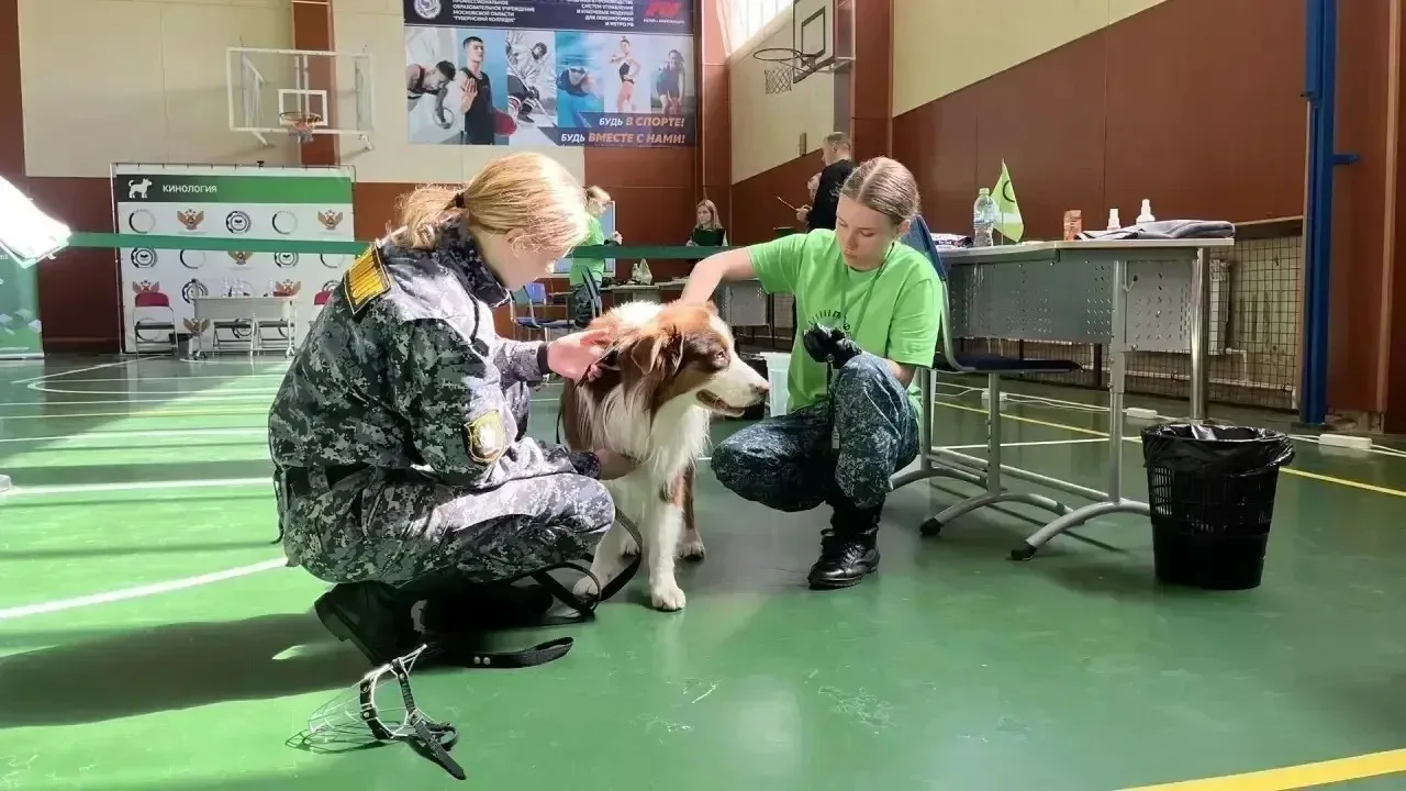 Студентка белгородского колледжа победила в престижном конкурсе кинологов  Анастасия Донченко, студе