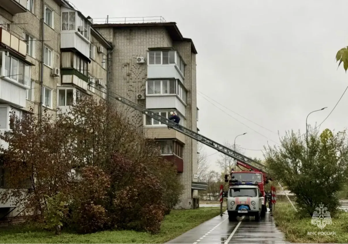 🚨Слишком поздно