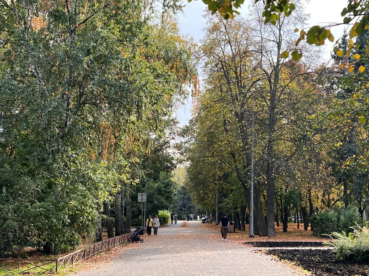 🔥Прогноз погоды на четверг, 1 октября: в Ульяновск пришел холодный воздух