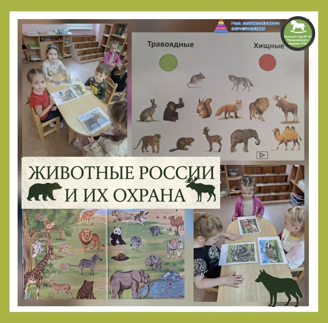 🐯Вчера в группе «Пчёлки» прошло увлекательное занятие по окружающему миру на тему «Жив...