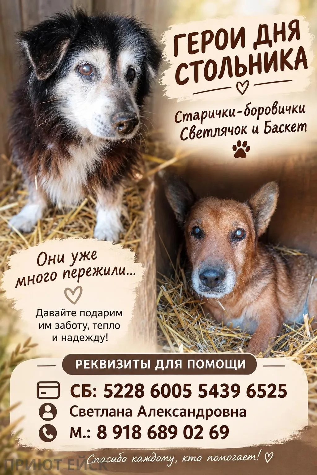 🙌Доброе утро, Друзья, в сегодняшний день стольника желают вам сразу два жителя Приюта ...
