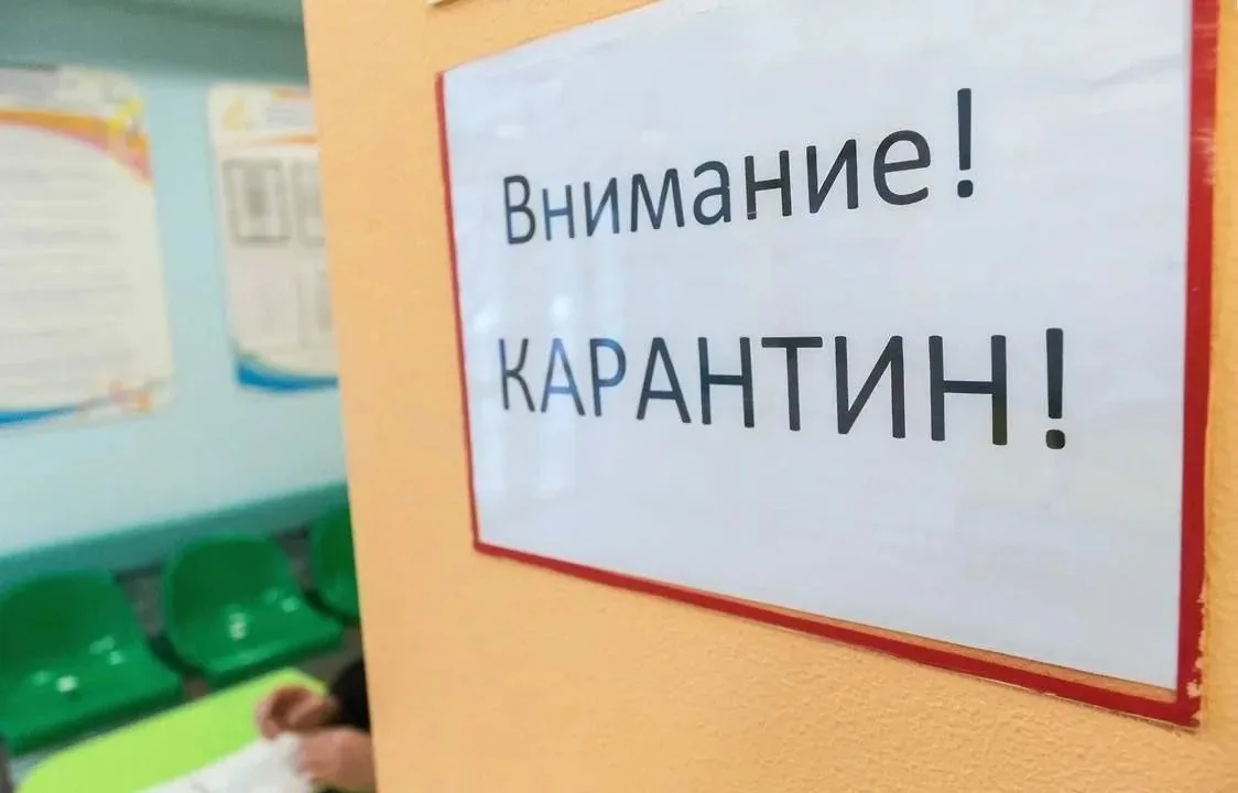 🔴В поселке под Самарой ввели карантин по бешенству.