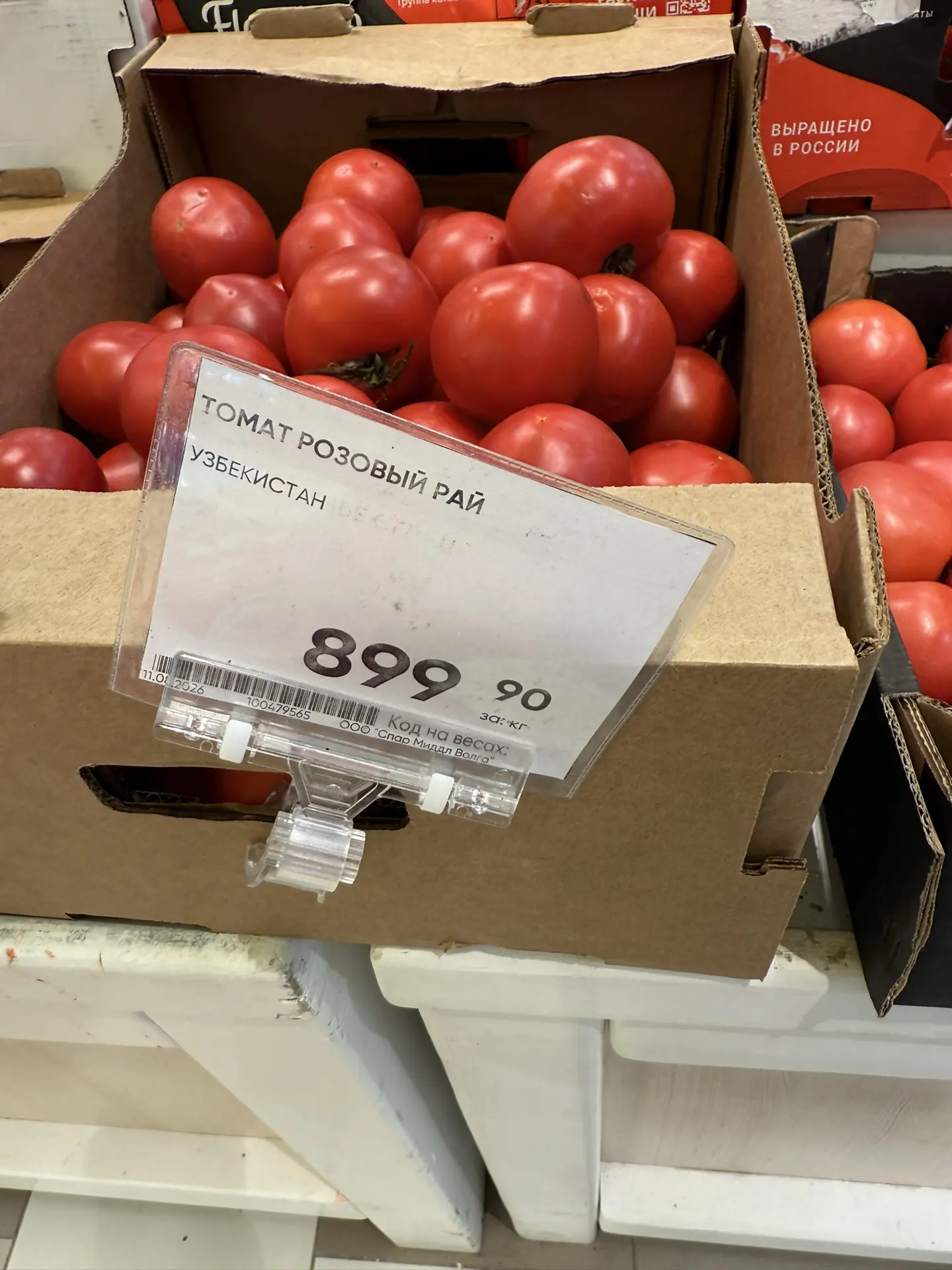 Дөрес бәя микән бу?