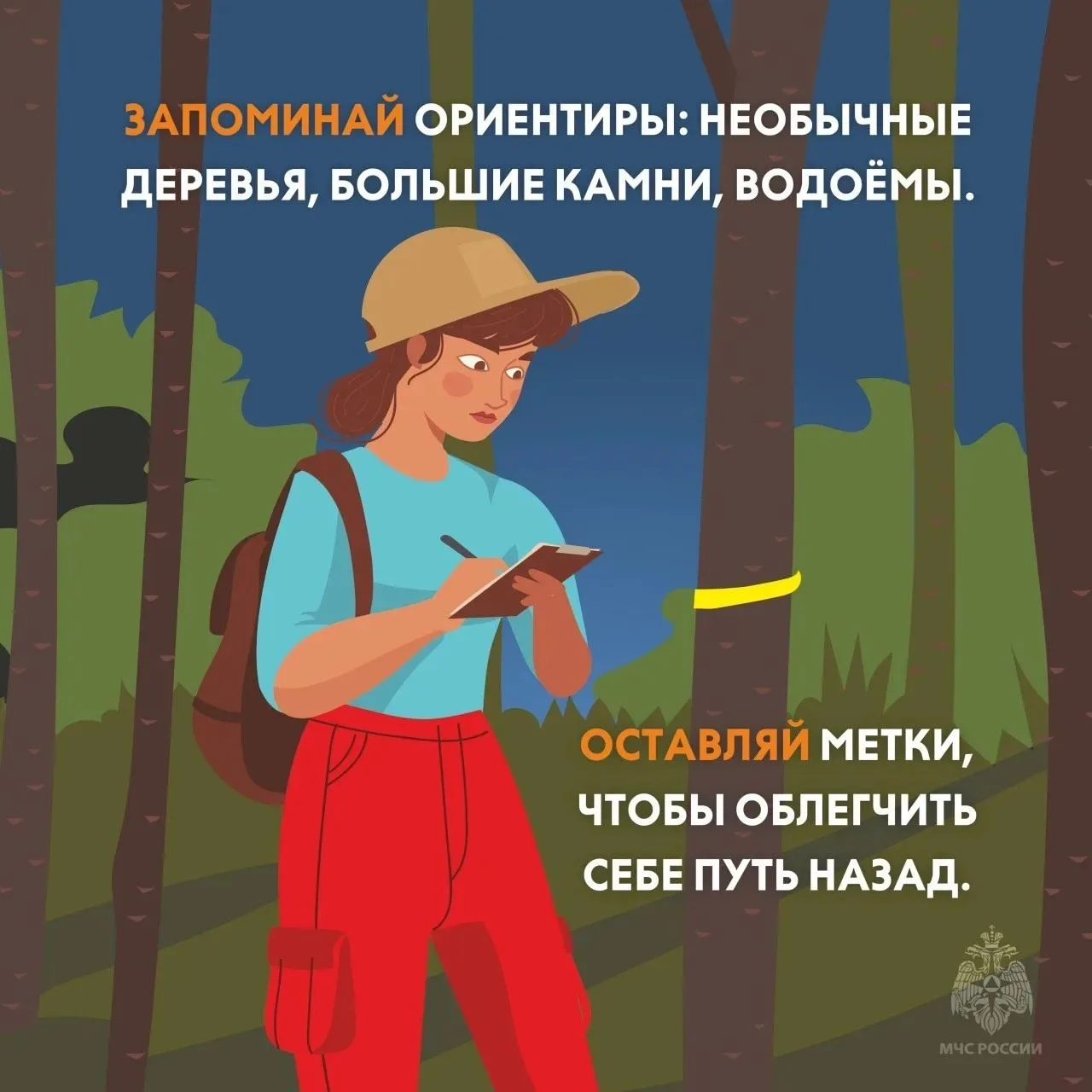 Безопасный сбор грибов 🍄