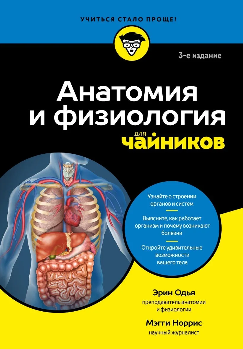 Почему наше тело умеет поддерживать постоянную температуру, даже когда за окном жара или мороз? Что 