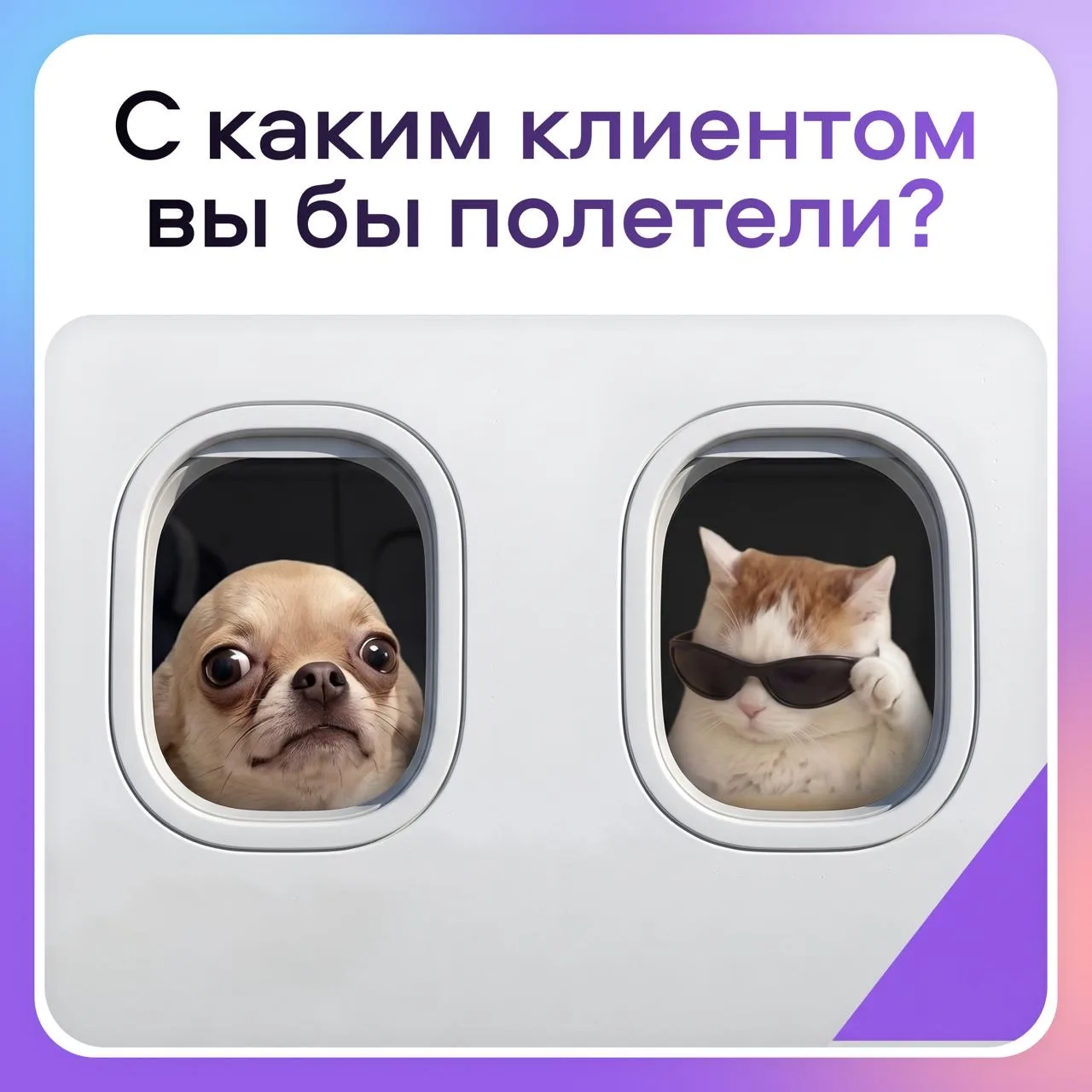 Представьте: впереди долгий перелёт, а вам предлагают выбрать соседа. Только выбор не п...