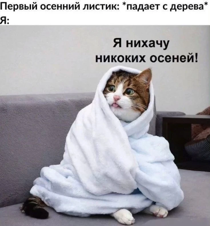 Подпишись, чтобы не потерять👇