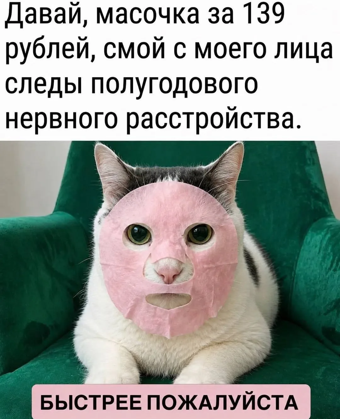 @memachh