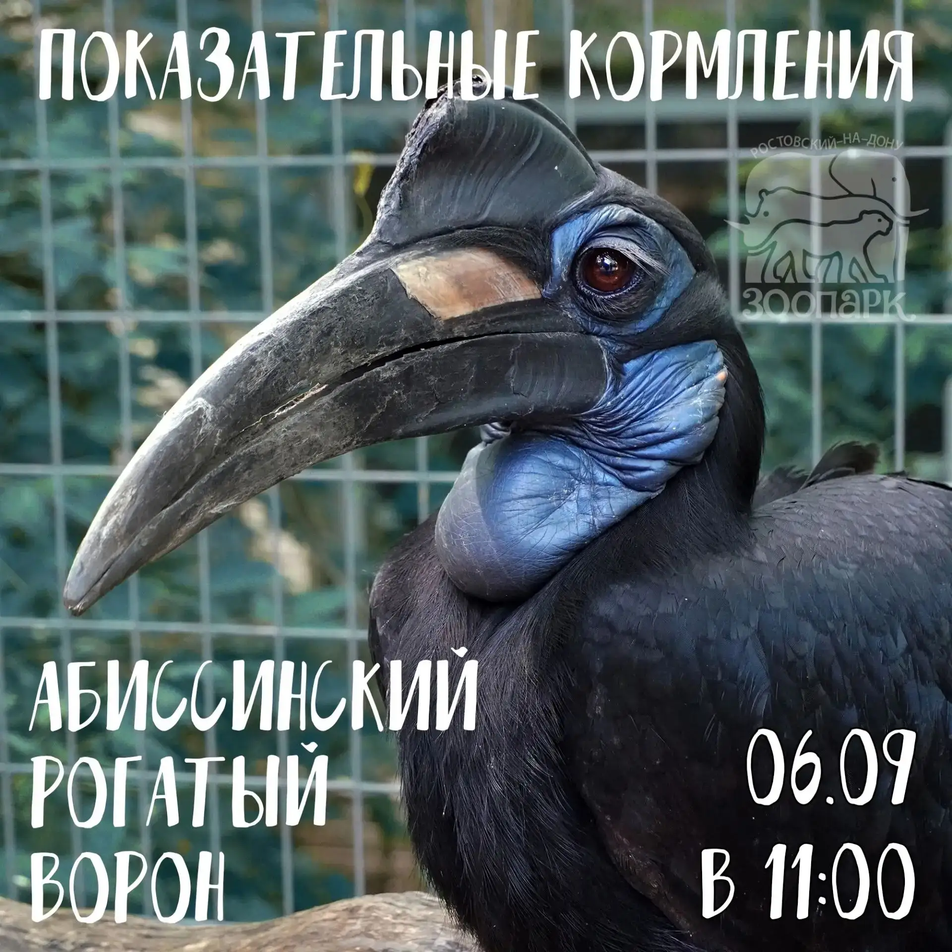 🌍 Приглашаем вас на показательные кормления совершенно разных животных, населяющих наш...
