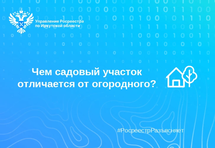 Чем садовый участок отличается от огородного?
