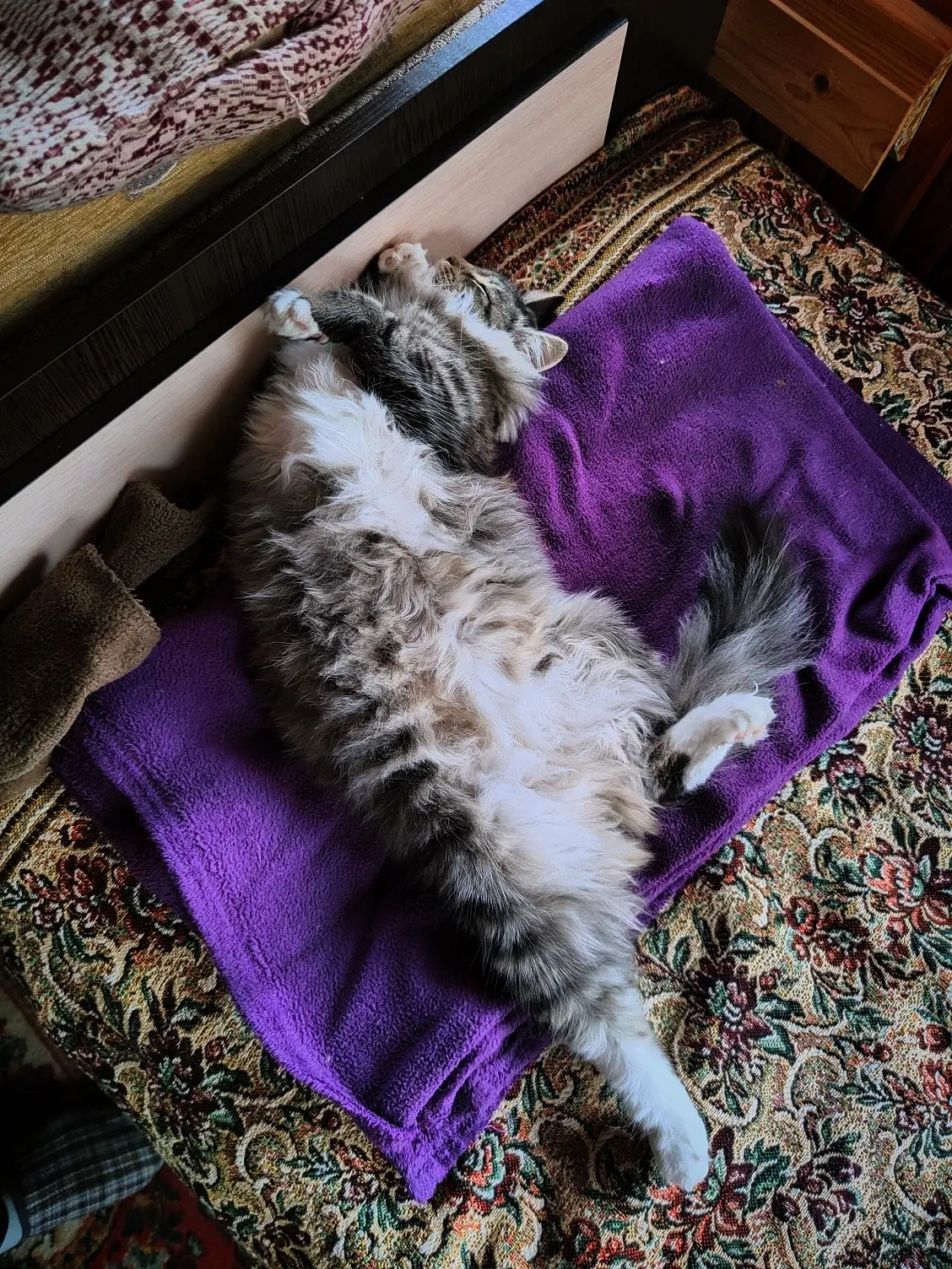 Состояние по сегодняшней погоде😻