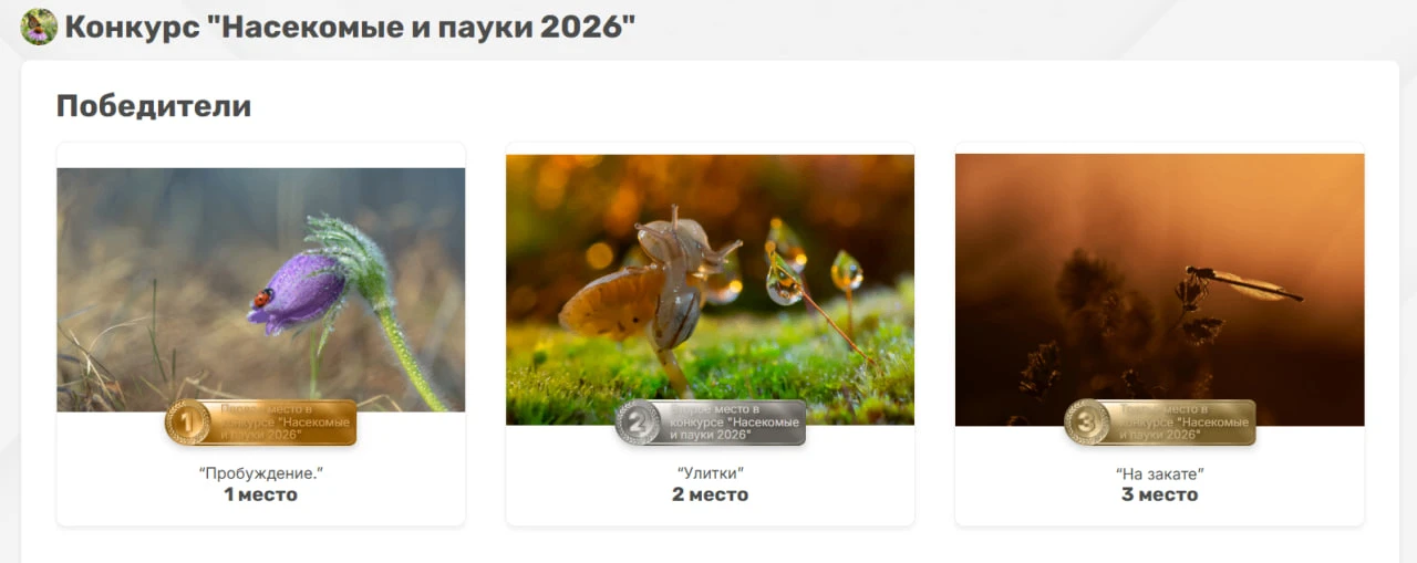 От всей души поздравляем победителей конкурса «Насекомые и пауки 2026»! 🎉 https://foto...