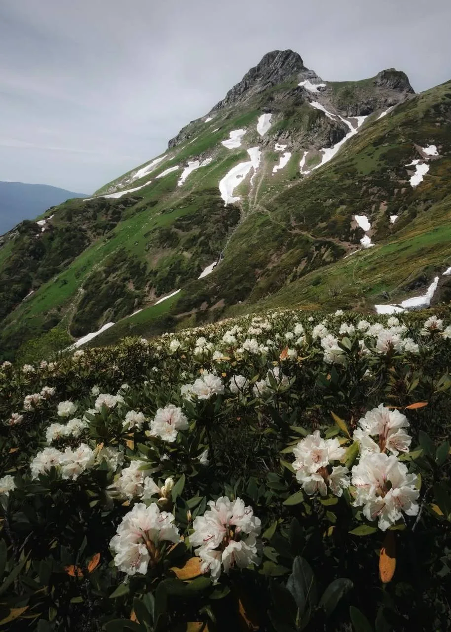 🌄 Хребет Аибга
