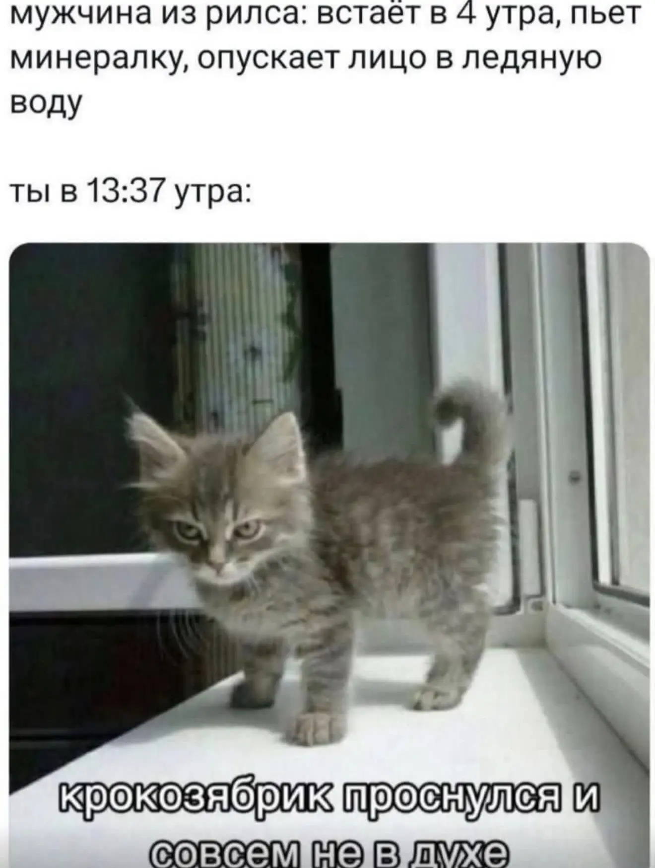 Ну, доброе, так сказать, утрице…