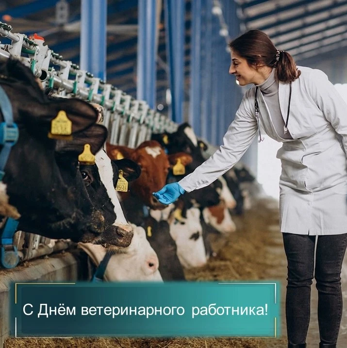 Поздравление заместителя председателя Правительства Самарской области — министра сельск...