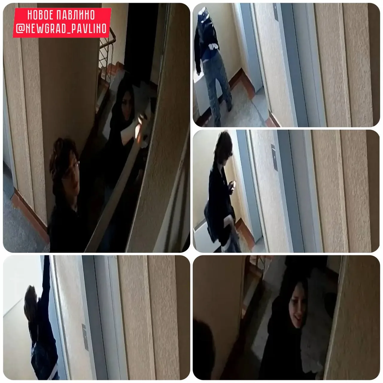 Молодые люди искали закладки в доме Павлино,39.