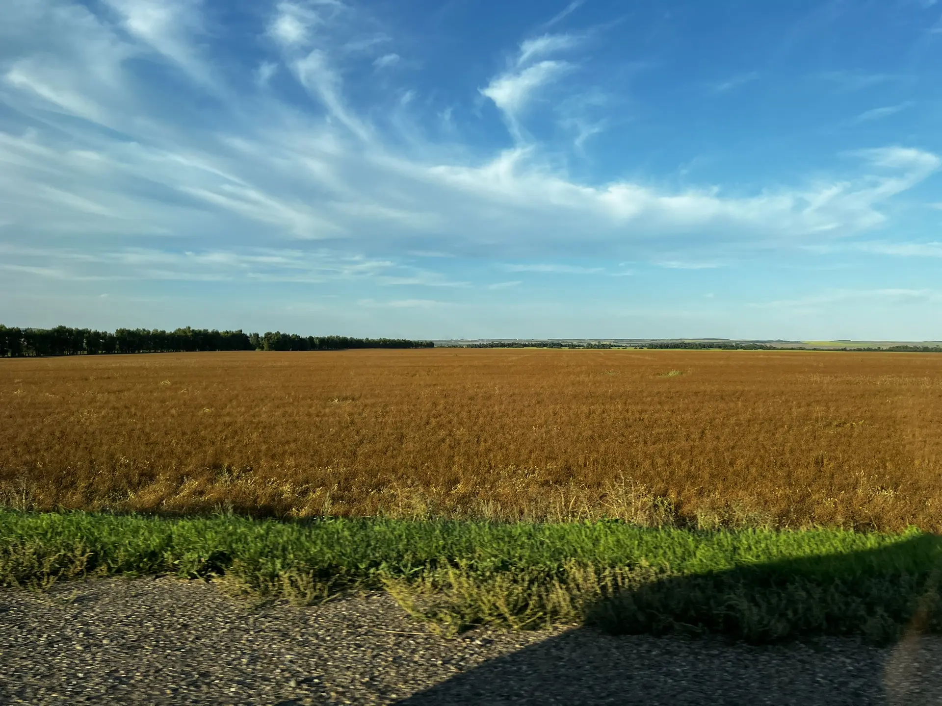 Доброе утро, друзья! 🌥️