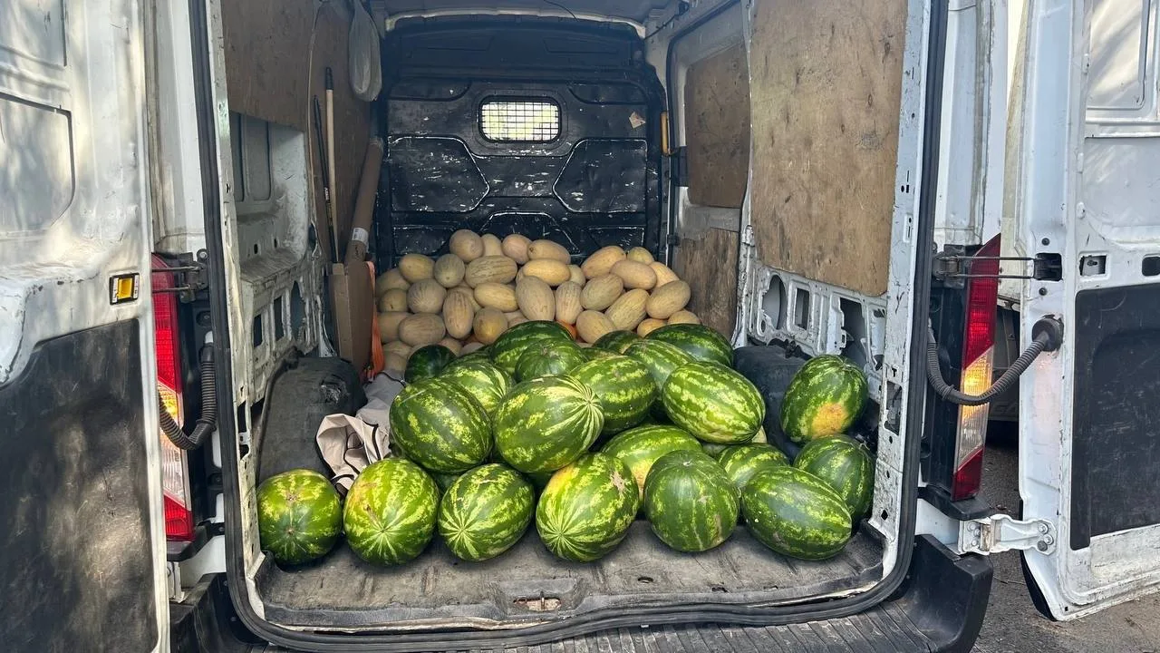 🍉 350 кг арбузов и дынь получат обитатели Казанского зооботсада после рейда на Оренбур...