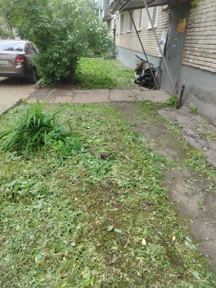 🏡 О выполненных работах по благоустройству по адресам Октябрьская, 76, 64а, 201