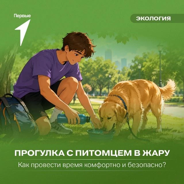 Для нас лето — это прогулки, парки и солнце без остановки. Для питомца это ещё и риск, о котором лег