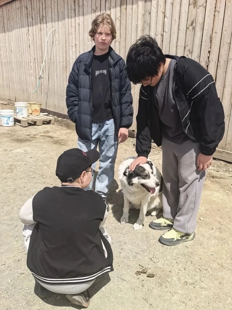 🐾 6-А класса посетили приют для бездомных животных «Пёс и кот» 🐶🐱  🏠🐕 В преддверии каникул ученики 6