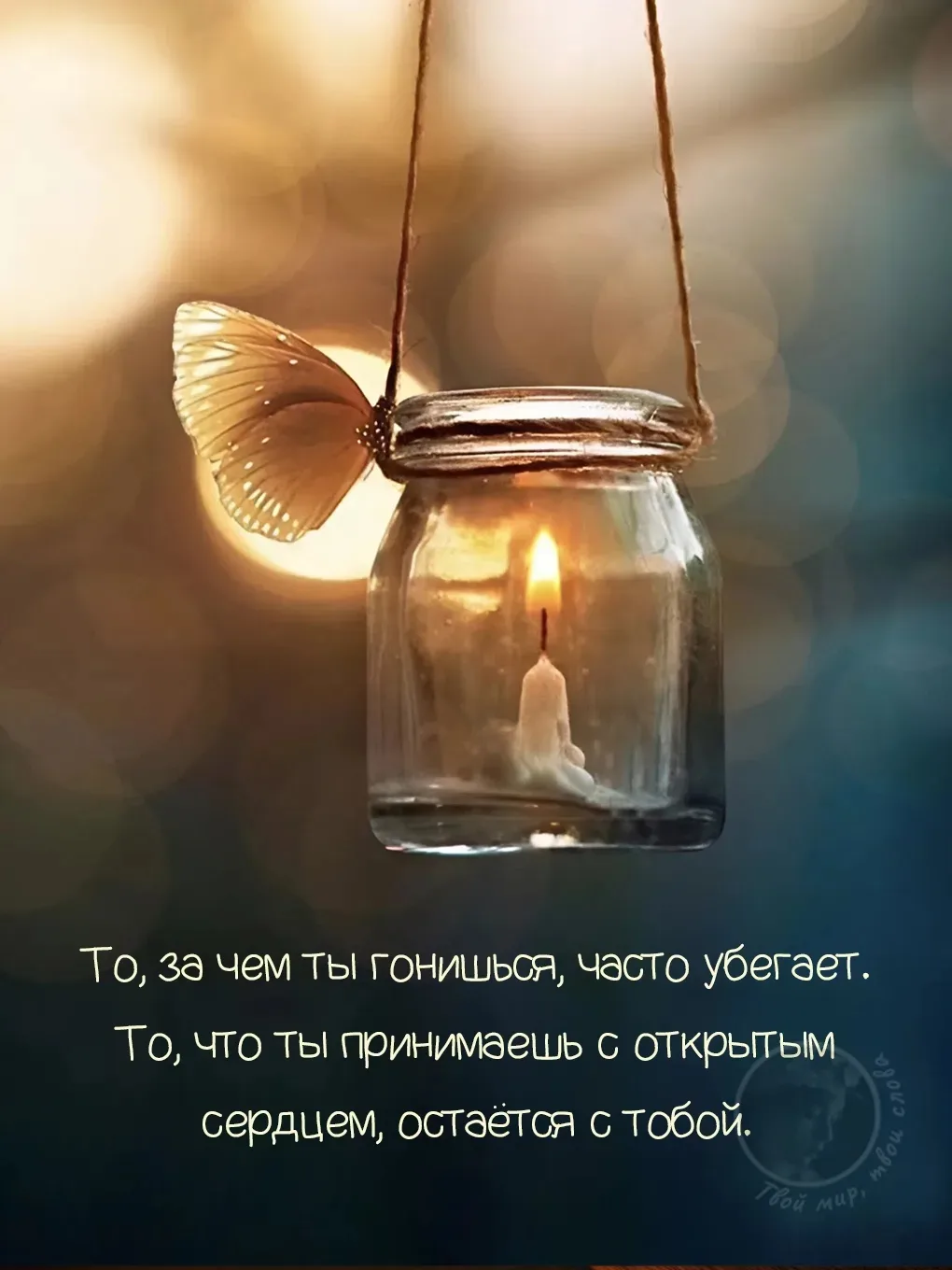 📌Мы так сильно держимся за свои принципы и привычные схемы, что часто не замечаем, как...