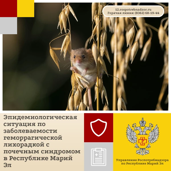 За прошедшую неделю (с 28 сентября  по 4 октября) в Республике Марий Эл по предваритель...