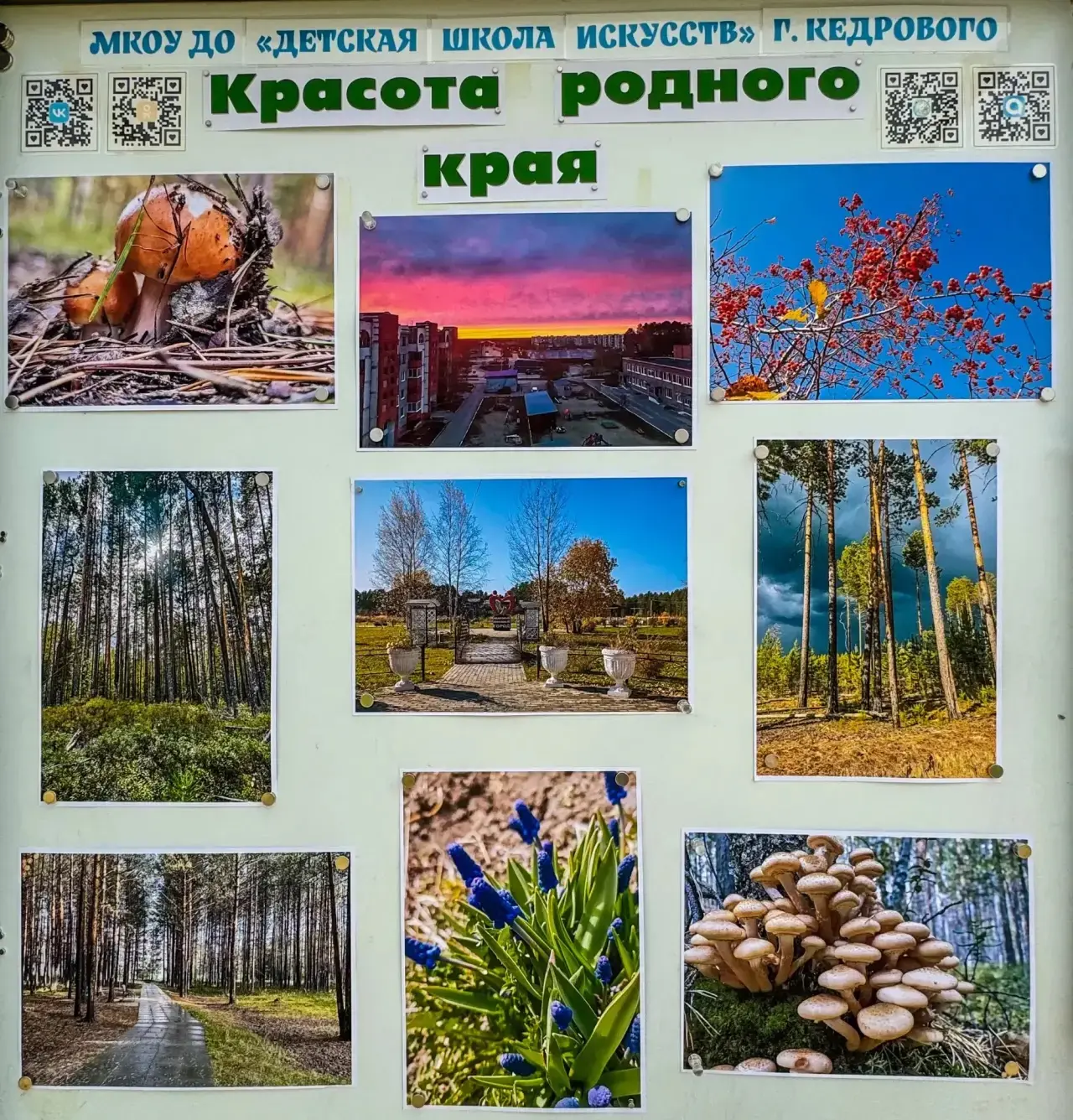 📸 «Красота родного края»