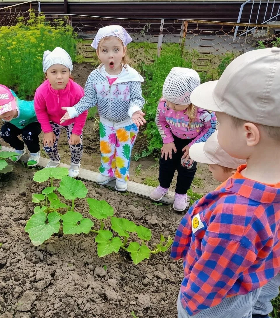 Наши ребята с особым вниманием ухаживают за своим огородом 🌱 
Они наблюдают, как подрастают растени